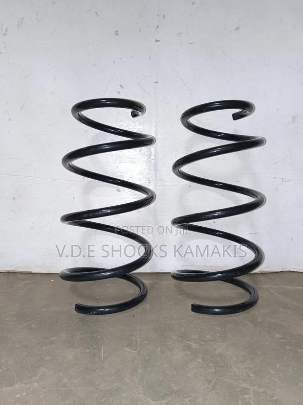 Toyota Vanguard Heavy-Duty Coil Springs - thumbnail 2