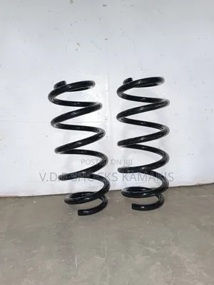 Toyota Vanguard Heavy-Duty Coil Springs