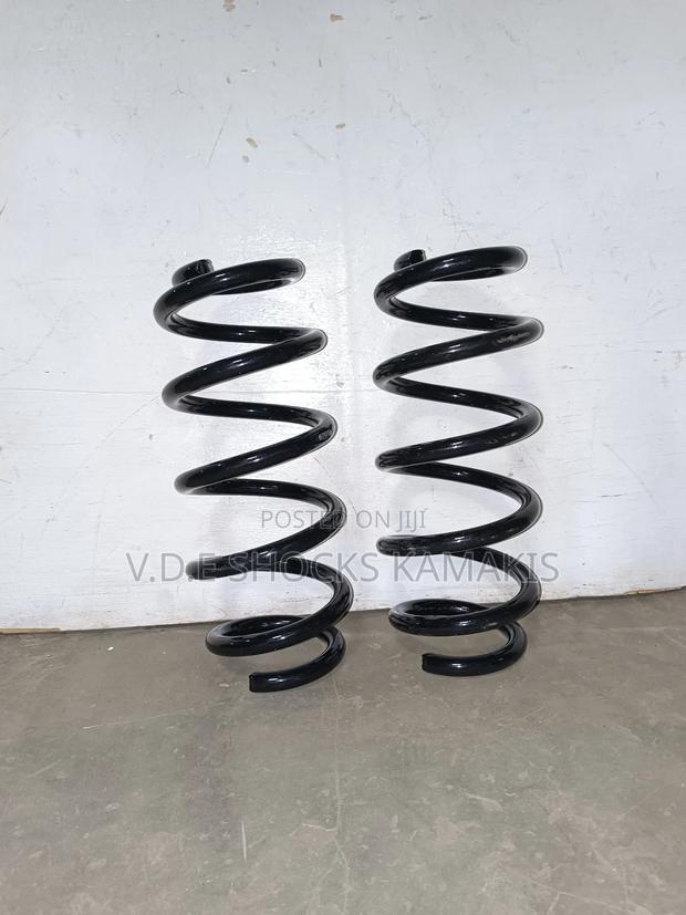 Toyota Vanguard Heavy-Duty Coil Springs - thumbnail 3