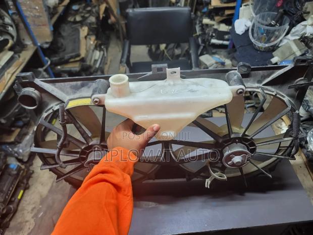 Mark X Fan