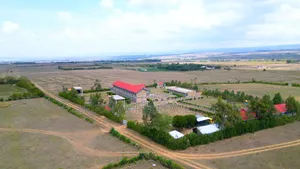 Longonot View Phase 5, Cash