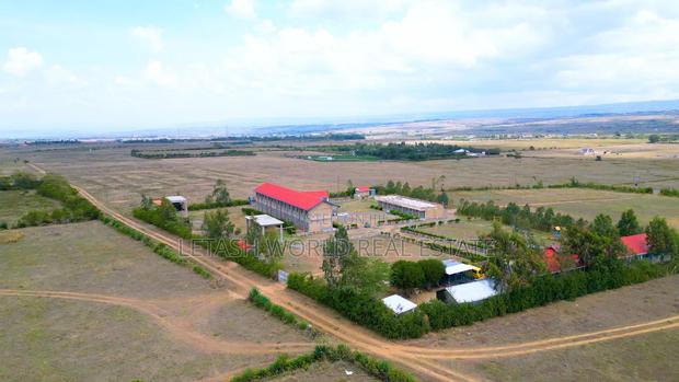 Longonot View Phase 5, Cash - thumbnail 4