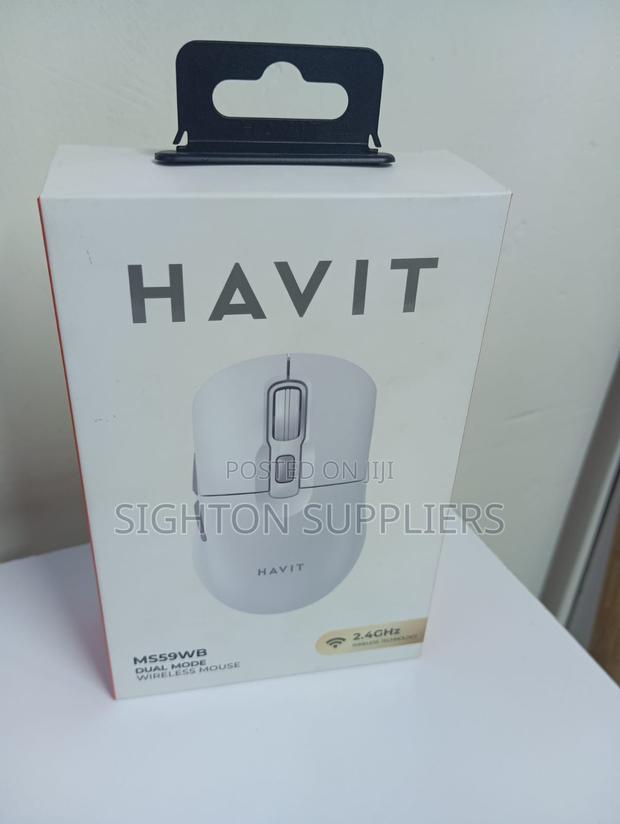 Havit Ms59wb Dual Mode Wireless Mouse