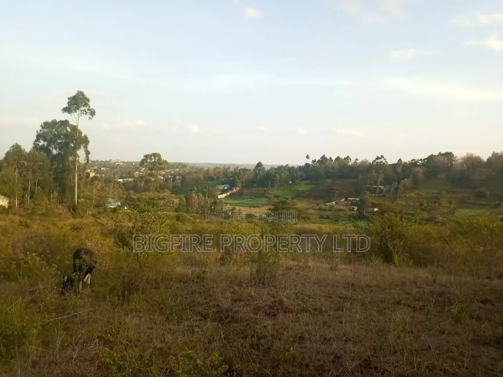 24acres Matasia Ngong