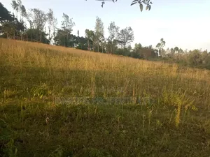24acres Matasia Ngong