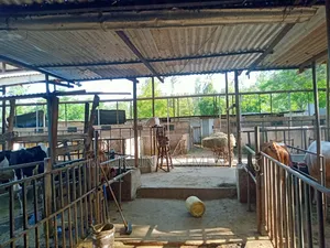 One Acre of Land on Sale at Makuyu