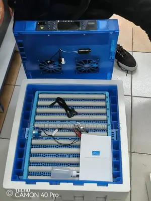 64 Egg Incubator / Egg Incubator