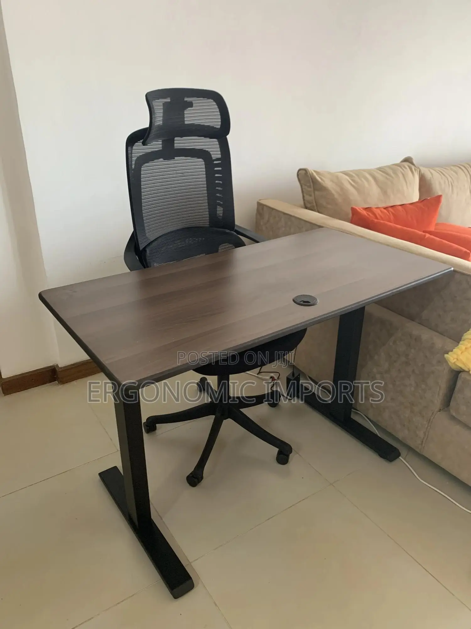 Adjustable Electric Standing Desk