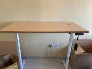 Adjustable Electric Standing Desk