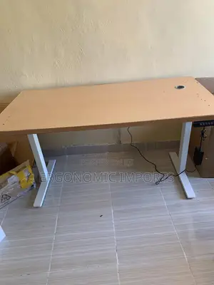 Adjustable Electric Standing Desk