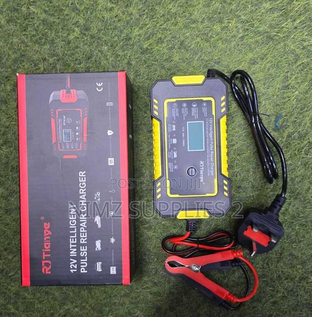 Rj Tianye 12v Intelligent Pulse Repair Charger. - main view
