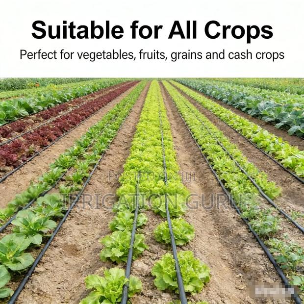 Crops Driptape - main view