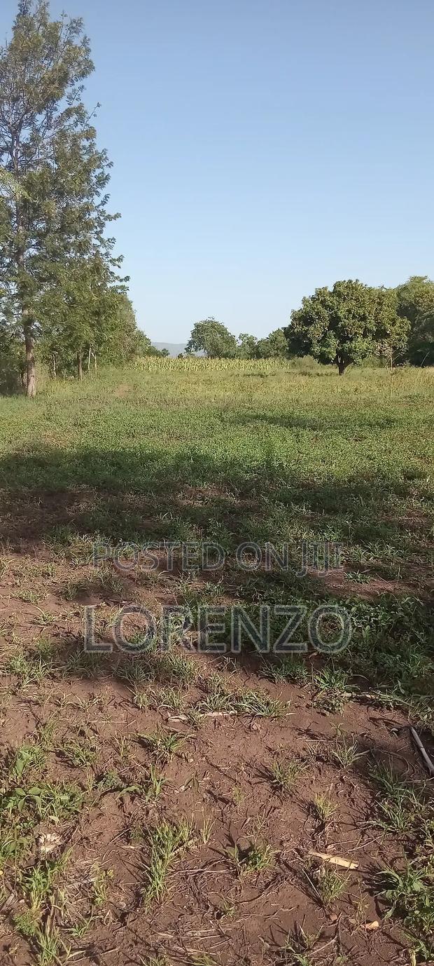 Land for Sale - thumbnail 3