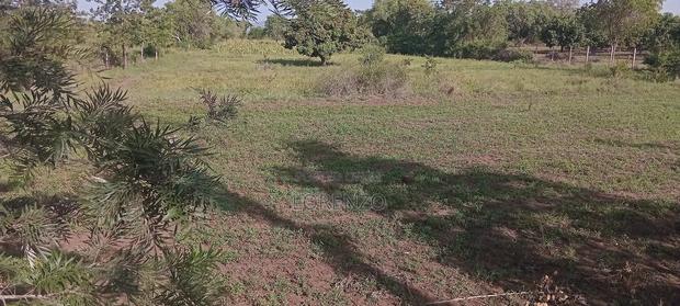 Land for Sale - thumbnail 4