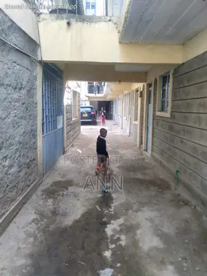 Mini Flat in Kwa Chief, Githurai for sale