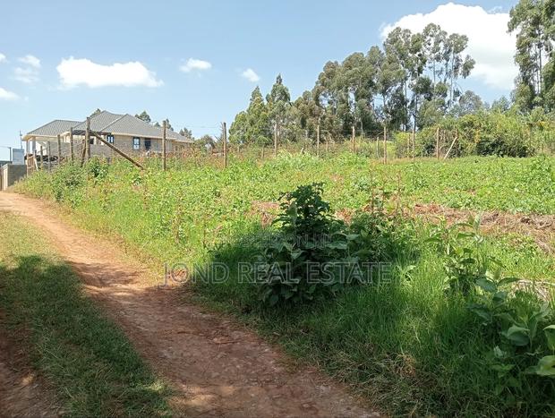 50 × 100 Plot in Limuru (Kamandura) - thumbnail 4