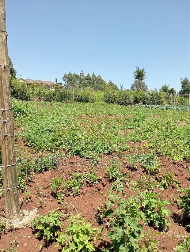 50 × 100 Plot in Limuru (Kamandura) - thumbnail 5