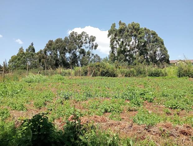 50 × 100 Plot in Limuru (Kamandura) - thumbnail 6