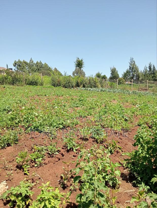 50 × 100 Plot in Limuru (Kamandura) - thumbnail 7