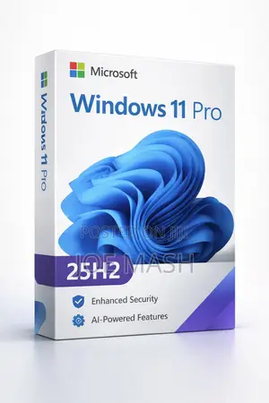 Installation of Windows 11 Pro Version 25h2