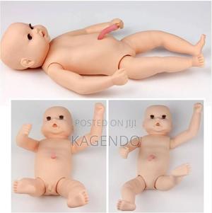 Newborn Baby Model – Medical Training Teaching Aid - thumbnail 2