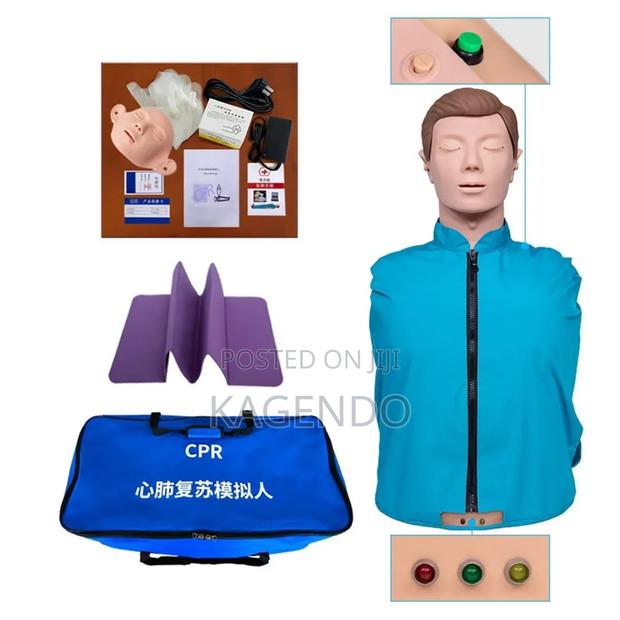 CPR Half Body Model – First Aid Training Manikin