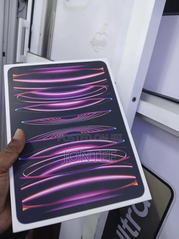 New Apple iPad Pro 11 (2022) 256 GB Gray