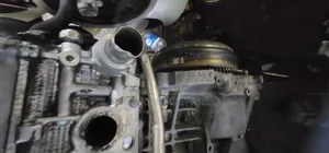 Toyota Harier,Alphard ,Rav4 Engine