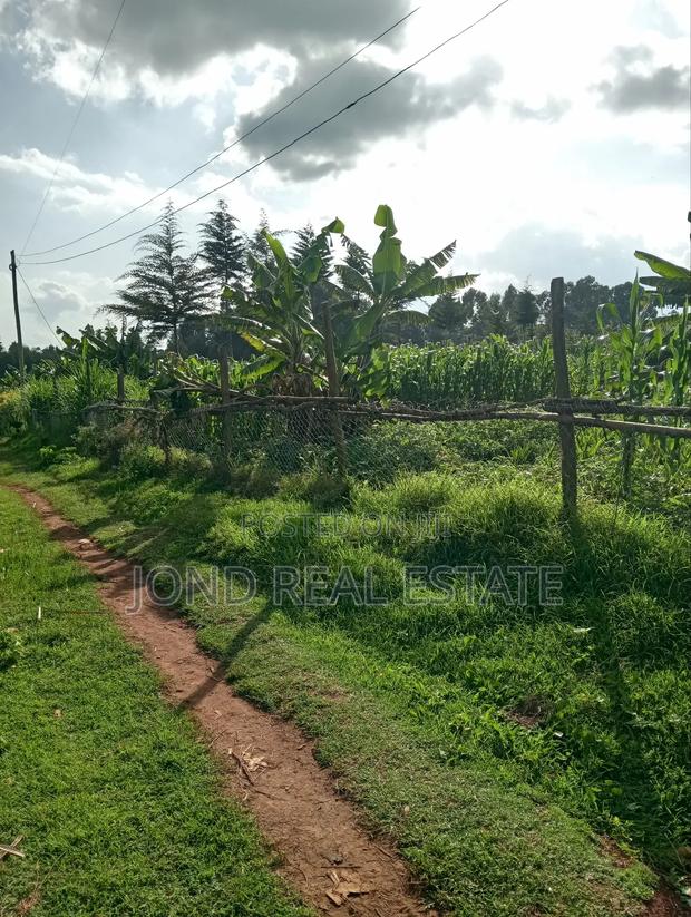 50×100 Plot for Sale in Limuru (Tharuni) - thumbnail 3