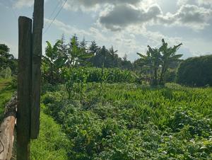 50×100 Plot for Sale in Limuru (Tharuni) - thumbnail 2