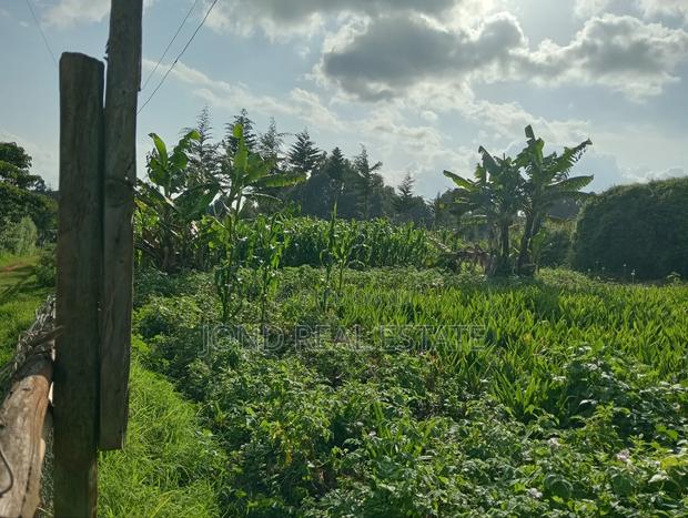 50×100 Plot for Sale in Limuru (Tharuni) - main view