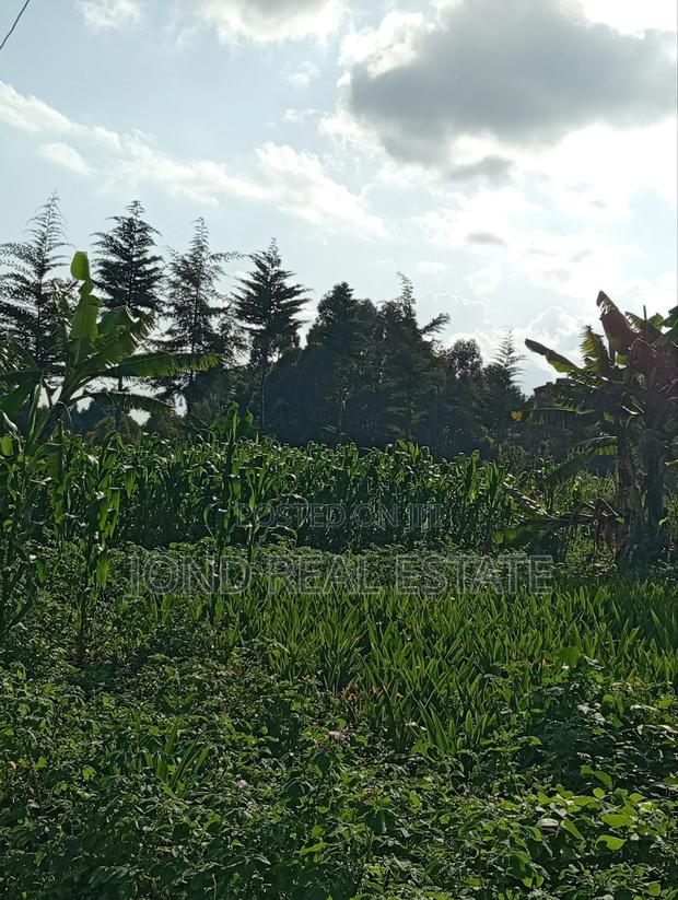 50×100 Plot for Sale in Limuru (Tharuni) - thumbnail 5