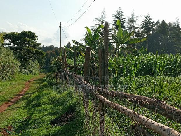 50×100 Plot for Sale in Limuru (Tharuni) - thumbnail 6