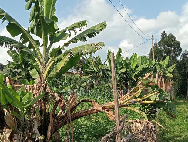 50×100 Plot for Sale in Limuru (Tharuni) - thumbnail 7