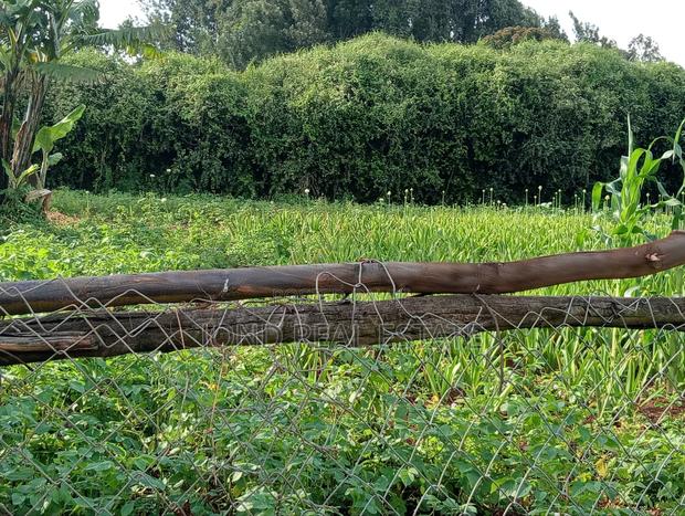 50×100 Plot for Sale in Limuru (Tharuni) - thumbnail 9