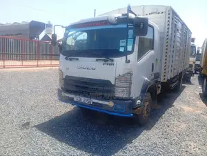 Professional Transport and Logistics Services Are Available