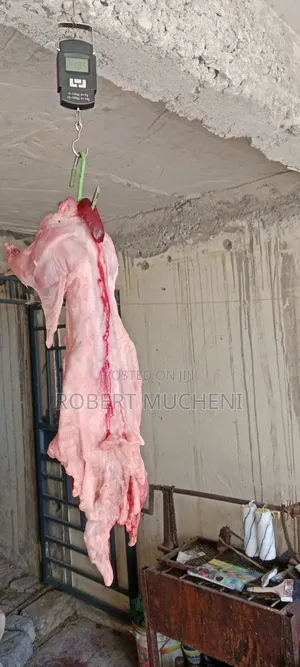 Rabbit Meat