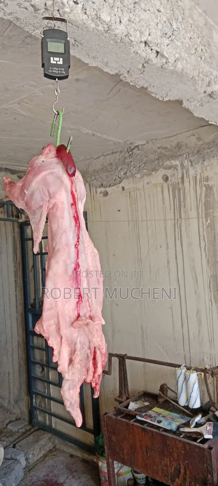 Rabbit Meat