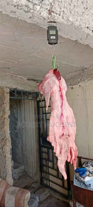 Rabbit Meat