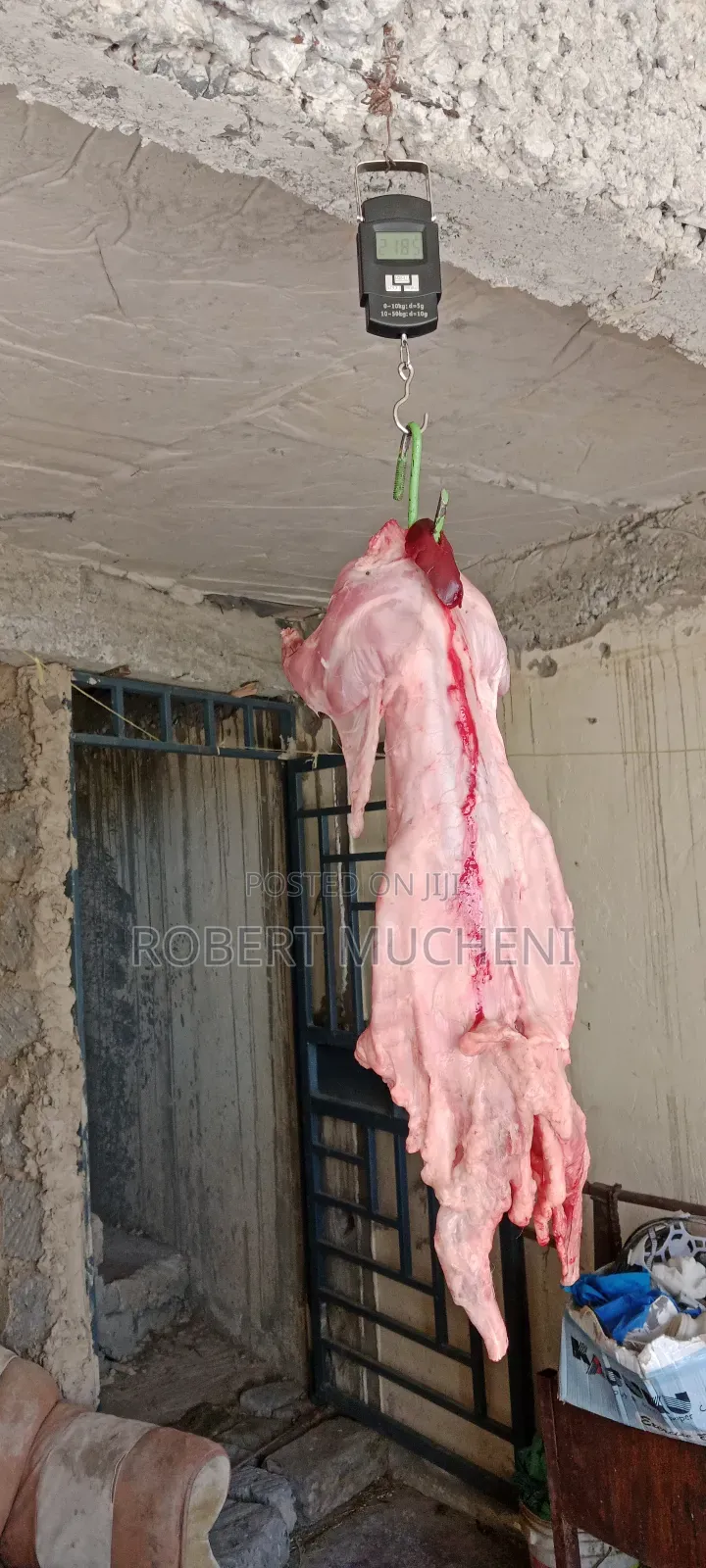 Rabbit Meat