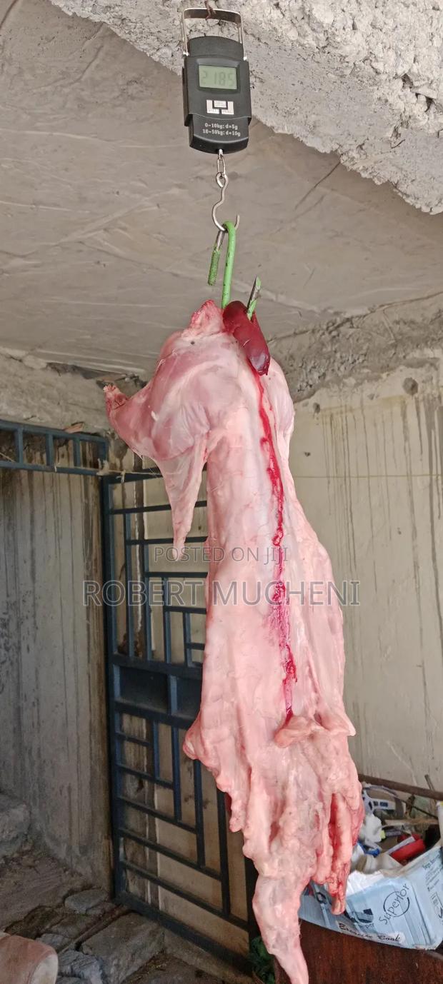 Rabbit Meat - thumbnail 4