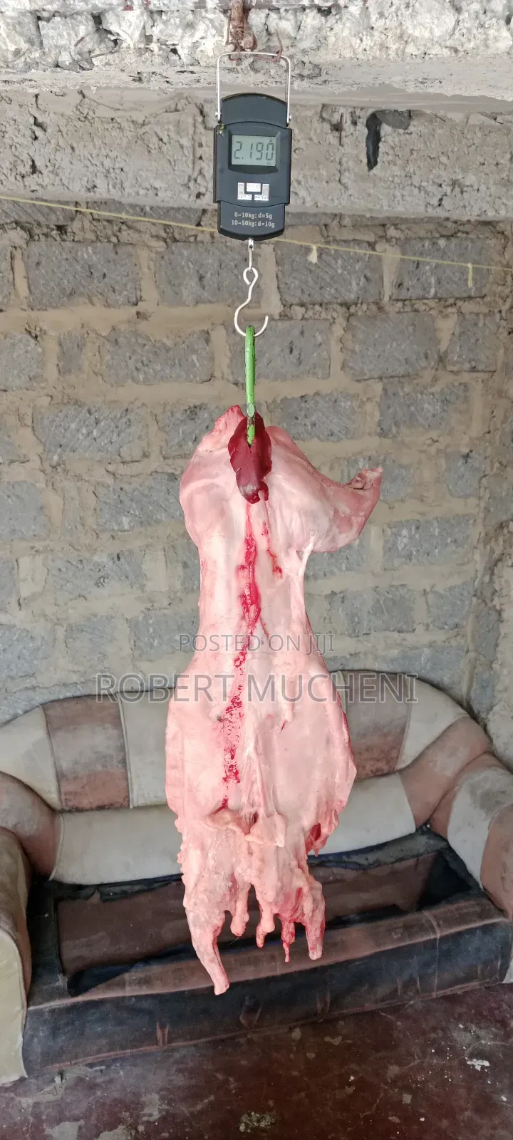 Rabbit Meat