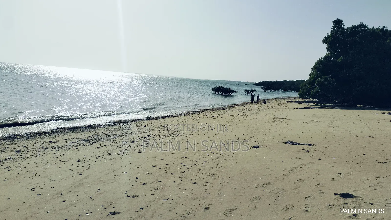 Shimoni Half Acre Beach Plot for Sale!!