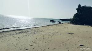 Shimoni Half Acre Beach Plot for Sale!! - thumbnail 2