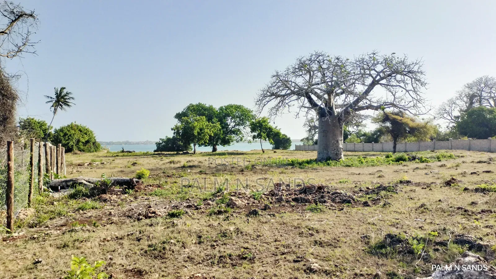 Shimoni Half Acre Beach Plot for Sale!!