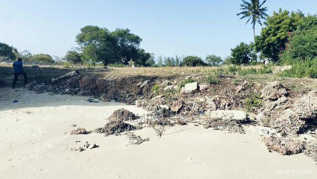 Shimoni Half Acre Beach Plot for Sale!! - thumbnail 4
