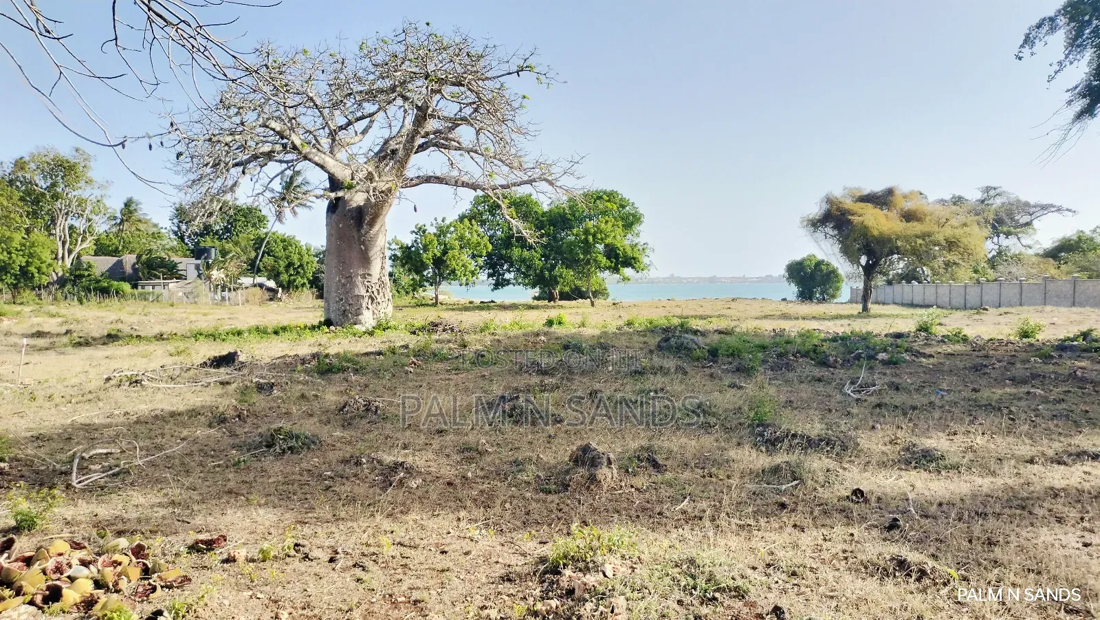 Shimoni Half Acre Beach Plot for Sale!!