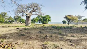 Shimoni Half Acre Beach Plot for Sale!!