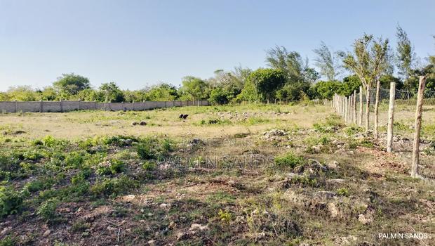 Shimoni Half Acre Beach Plot for Sale!! - thumbnail 6
