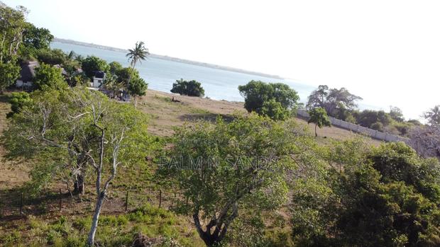 Shimoni Half Acre Beach Plot for Sale!! - thumbnail 7
